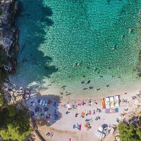 Cozy In With Wifi Apartman *